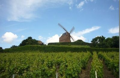 Moulin