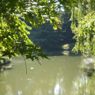 NYC, avion, et arrivée en Francia!!!