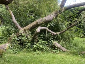 De la nature avant tout