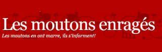 - Benji l'administrateur du site Les Moutons Enragés nous a quitté