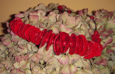 "Rudie" sur bouquet d'hortensia