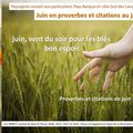 👨‍🌾 Juin en proverbes et citations. Paysagiste pays basque Paysagiste Landes.