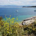 A Porquerolles, dans la mêlée des vélos