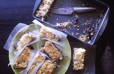 Blueberry crumbs bars