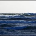 L'OCEAN A MAL A LA TERRE