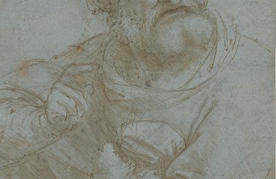 Leonardo–Dürer: Renaissance Master Drawings on Colored Ground