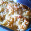 gratin aux poulet