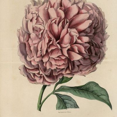 Quand on y a pris goût