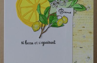 Des citrons