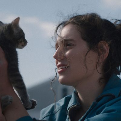[CRITIQUE]  SORRY BABY- l'émouvant journal post traumatique d'Eva Victor