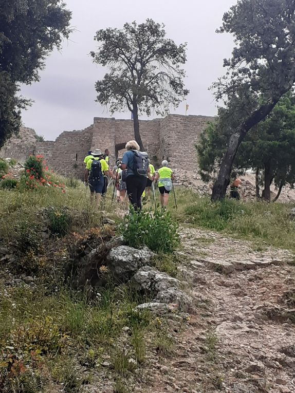 13km dans les collines de Flassans pour 13 sportifs 