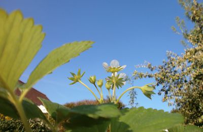 Coin de ciel du lundi  # 112