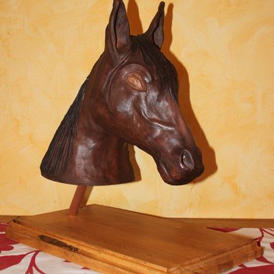 une passion.... un cheval !