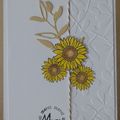 Des tournesols
