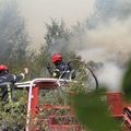 Incendie de Lacanau : "Ce feu est une bête fauve"