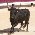 5ème souvenir Gérard Delfau à Istres