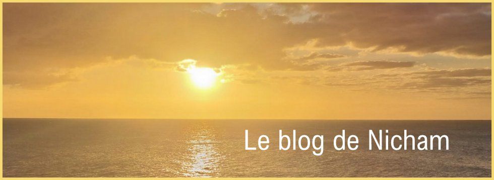 le blog de Nicham