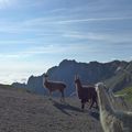 Pic du Midi