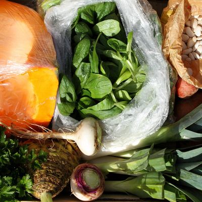 Premiers assauts de l'hiver