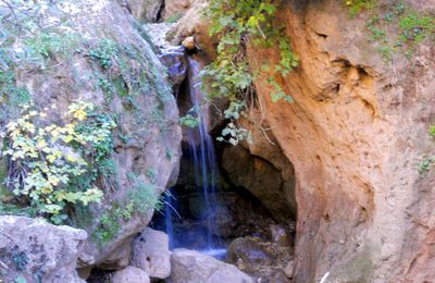 cascade aux noyers