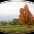 Paysage d'automne en Corrèze