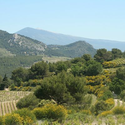 Semaine 20 ♦ escapade à Suzette ♦