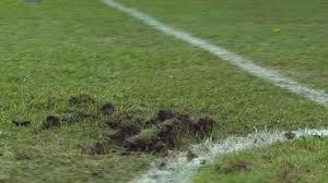 Le scandale de la pelouse du stade de France