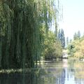 Marais Poitevin