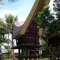La culture Toraja