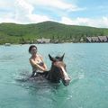 Baignade à cheval dans le lagon du Kuendu Beach