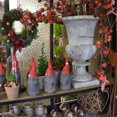 A partir du mardi 3 décembre Découvrer les