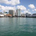 Auckland harbour