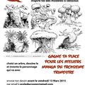 2 Concours "Manga"