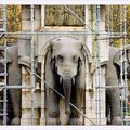 les Eléphants de Chambéry...