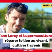 Yann Leroy et la permaculture : réparer le lien au vivant, cultiver l'avenir - Nexus