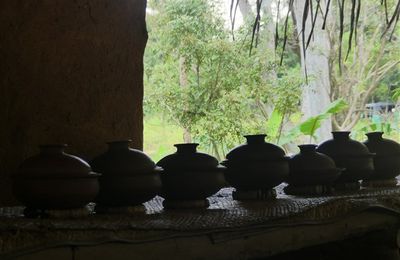 Voyage au Sri Lanka - Sigiriya - poursuite de la visite du village d'Hiriwadunna pour un petit cours de cuisine locale