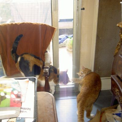 Une matinée chargée