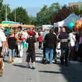 DUCASSE DES QUARTIERS ST-MARTIN,ET VAUBAN A BERGUES