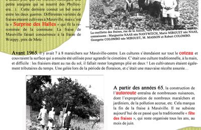 La Fraise à Maxéville, son histoire