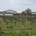 Primeurs 2014 : Pessac-Léognan (vins rouges)