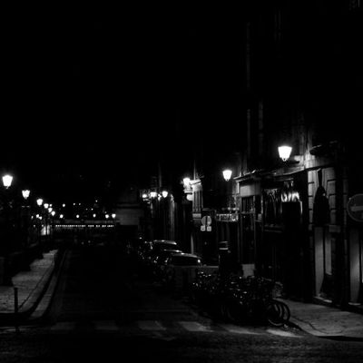 Pont Neuf. Paris. Night.