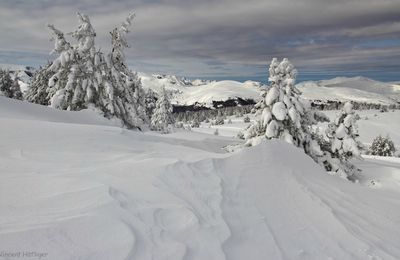 Neige à souhait