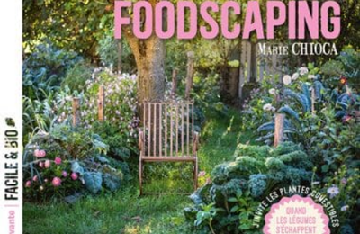 Livres pour l'été - 2