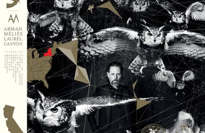 INTERVIEW du chanteur Arman Meliès pour son  nouvel album "Laurel CANYON" 
