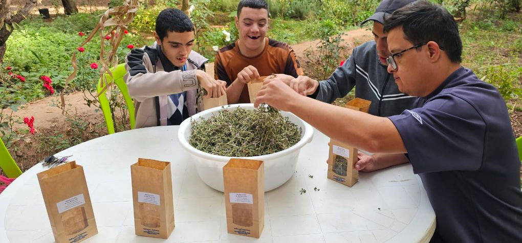 Opération conditionnement des sachets des plantes aromatiques ce mardi matin O.T.