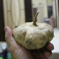 Un fruit rigolo : Le Bengkuang