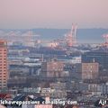 Le Havre et port 2000, la manutention