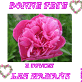 BONNE FETE AUX MAMANS