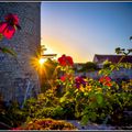 Le Château du Rivau à la Une et ses jardins de conte de fées(Reportage TF1)