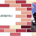 Le Clochard de Beverly Hills